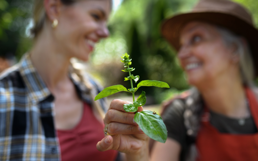 Intergenerational Learning in Agro-Entrepreneurship