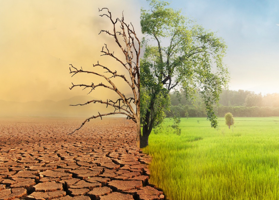 Understanding the interlinked relationship between Climate Change and Agriculture